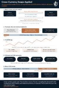 Cross Currency Swaps Applied